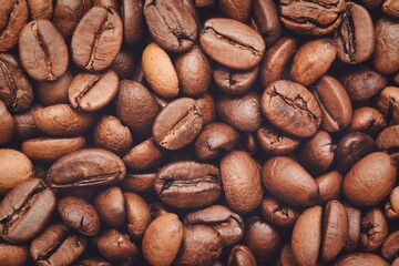 コーヒー豆（テクスチャ）