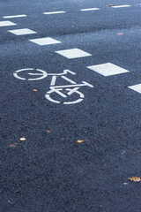 Bicycle path passing through the pedestrian crossing.