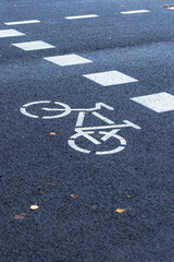 Obraz premium Bicycle path passing through the pedestrian crossing.