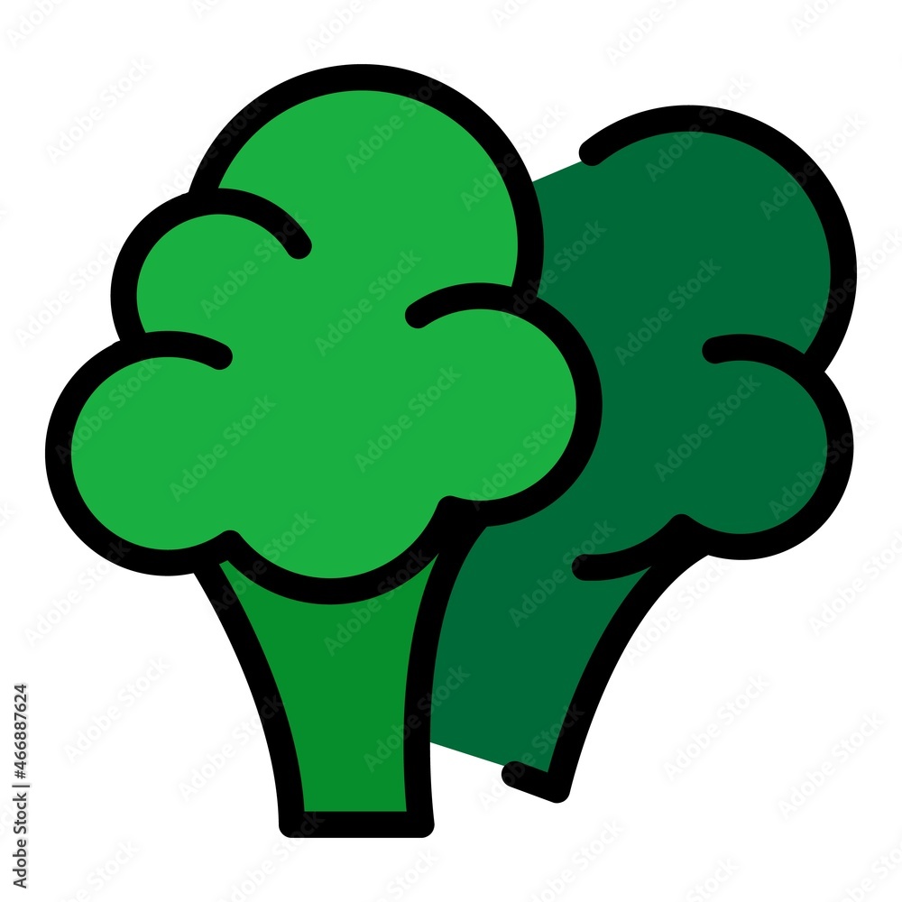 Poster broccoli icon. outline broccoli vector icon color flat isolated