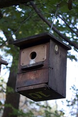 wooden bird house