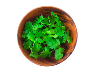 Top view of fresh coriander leaves in wooden bowl on white background.