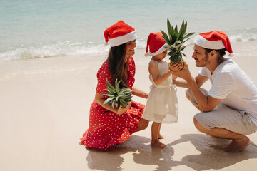 Obraz premium Happy family wearing Santa hat while enjoying at beach during sunny day, hold in hands pineapple fruits