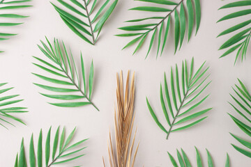 Tropical background with palm leaf on grey. Flat lay, copy space