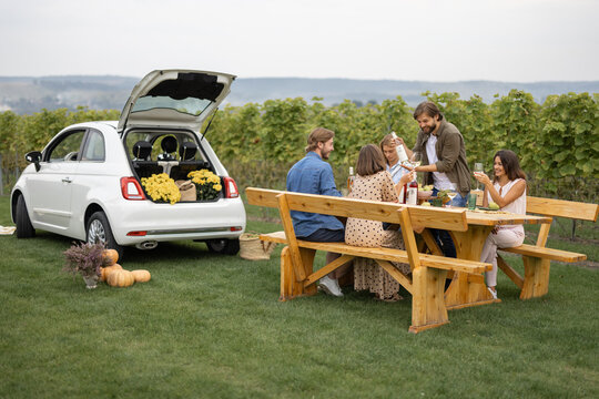 Joyful european friends drinking and toasting with local wine during picnic near vineyards in countryside. Young men and women spend time together. Concept of winemaking. Friendship and leisure.