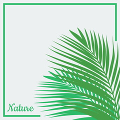Minimalist palm leaf vector illustration