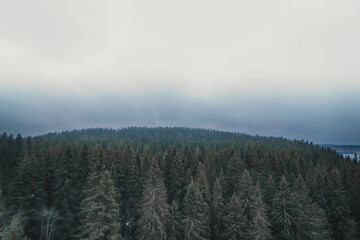 mist in the mountains