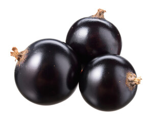 Black currant isolate. Currant black on white background with clipping path. Side view. Three berries with full depth of field.