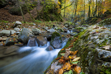 Rocks covered by the moss in autumn on a stream with the rapids, Zeleni vir, Croatia