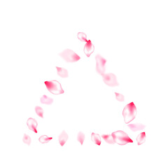Pink sakura petals confetti flying and falling