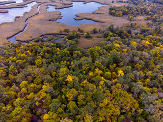 Colorful Autumn Forest and River. Aerial view from the Drone.