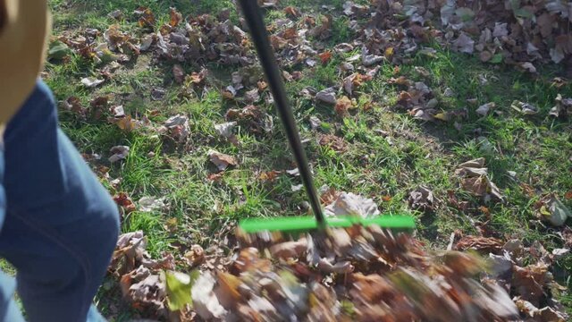 Person with gardening rake in hands sweeping autumnal foliage on countryside yard covered with grass and dry leaves at autumn day outside