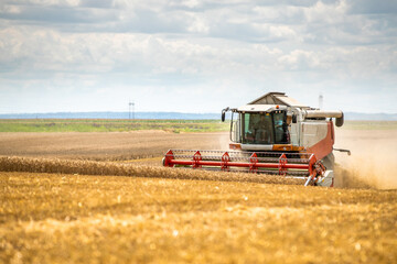Fototapeta na wymiar Combine harvester in action on wheat field. Harvesting is the process of gathering a ripe crop from the fields.