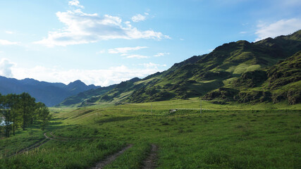 Naklejka premium landscape with mountains and sky