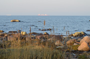 Fototapeta na wymiar The southern shore of the Gulf of Finland, Lomonosovsky district, Leningrad Region, Russia