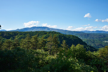Fototapeta premium 群馬県吾妻郡長原町 国道146号からの景色 