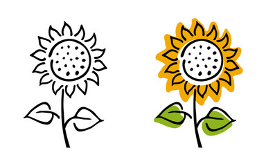 Blooming sunflower – hand drawn stylized vector illustration. Black and white and colored versions, isolated on white.