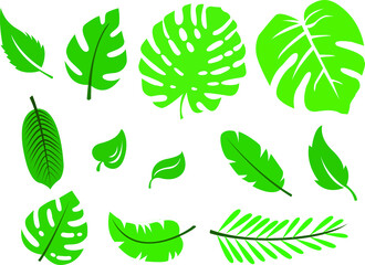 Leaf Vector Flat Illustration