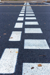 Bicycle path passing through the pedestrian crossing.