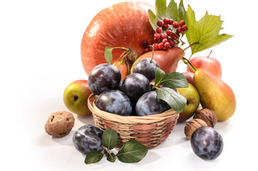 plum in a basket, pumpkin and other fruits