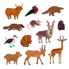 Wild animsls vector set, rare endandered animals. Flat style cartoon Vector illustration.