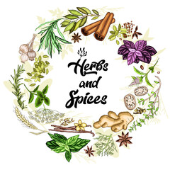 A colorful set of spices, herbs and spices. Round frame of painted herbs. Vector for menu, restaurant,
food and kitchen design.