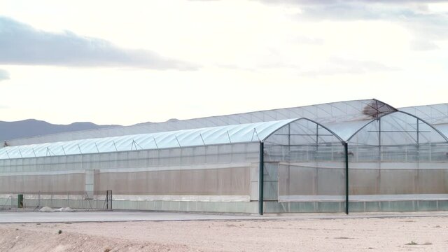 Big industry greenhouses. Industrial agriculture. Murcia region, Spain.