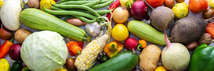 Background with fresh autumn vegetables, organic healthy farm products banner, top view