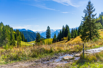 Wanderweg vor Alpenpanorama in Österreich-Vorarlberg