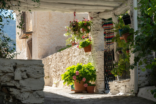 Picturesque alley with white painted slate houses and flower pots in the old town of Capileira, Poqueira valley, Las Alpujarras, Sierra Nevada National Park, Andalusia, Spain