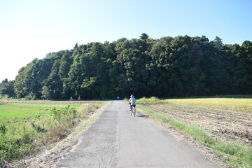 Obraz premium 田舎道での自転車