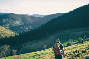 Young man walking on mountain trail near a forest, serenity and freedom. Back view.