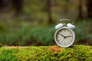 White alarm clock on an old mossy tree in the forest. The background is blurred.