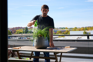 Male gardener caring about plant on terrace
