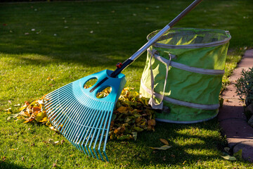 Leaf fall and leaf removal in the garden in autumn, rake and leaf sack on a lawn in the garden