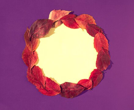 Red and brown leaves lay dowm in a circle on pastel yellow and purple background. Flat lay composition with copy space, autumn decoration concept