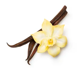 Poster Vanilla pods and orchid flower isolated on white background. Vanilla sticks closeup. © Valentina R.