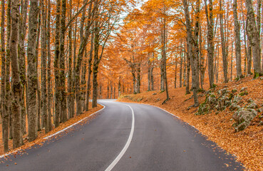 Obraz premium Forca d'Acero, Italy - right at the border between Lazio and Abruzzo, and embedded in the wonderful Abruzzo, Lazio and Molise National Park, Forca d'Acero is famous for its Autumn colors 