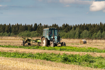 Russia. Gatchinsky district of the Leningrad region. August 28, 2021. The tractor puts hay on the field in the tracks for rolling rolls.