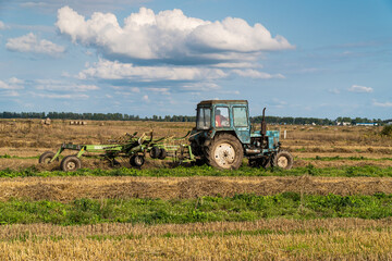 Russia. Gatchinsky district of the Leningrad region. August 28, 2021. The tractor puts hay on the field in the tracks for rolling rolls.