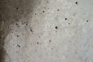 A damp concrete wall with fine, abstract structures