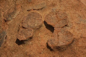 Obraz premium Felsen im Erongogebirge in Namibia.