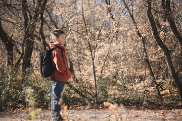 Teenager boy with backpack walking on path in autumn park. Active lifestyle, Back to school. Student boy in fall forest.