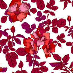 Seamless pattern with blossom large red roses petals buds and leaves. Artistic summer floral background isolated on white. Beautiful botanical ornament. Line drawing, Vintage style.