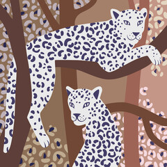 Leopard sits under another lying on a branch. Vector wildlife illustration. Wild animal background in trendy flat cartoon design.