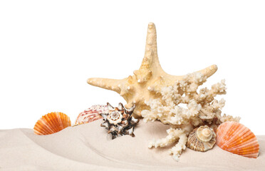Beautiful starfish, coral and sea shells in sand on white background