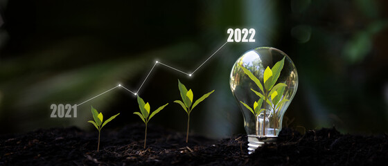 Saving and growth energy and environment.  Tree growth compared to year 2021 to 2022 in light bulb...