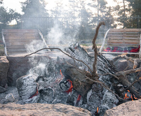 Close-up of large logs of a tree in a dying fire.