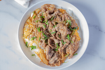 Sliced pork over rice with Japanese Teriyaki sauce menu in Korea and Japanese restaurant.