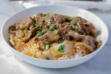 Sliced pork over rice with Japanese Teriyaki sauce menu in Korea and Japanese restaurant.